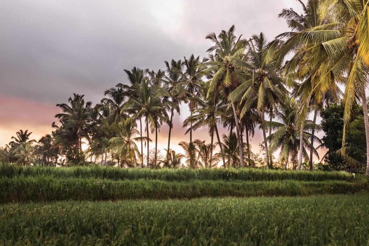The Luxe Ubud Exterior photo